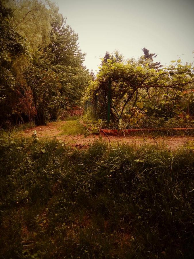 Agroturystyka U Babci Czchow Exterior foto