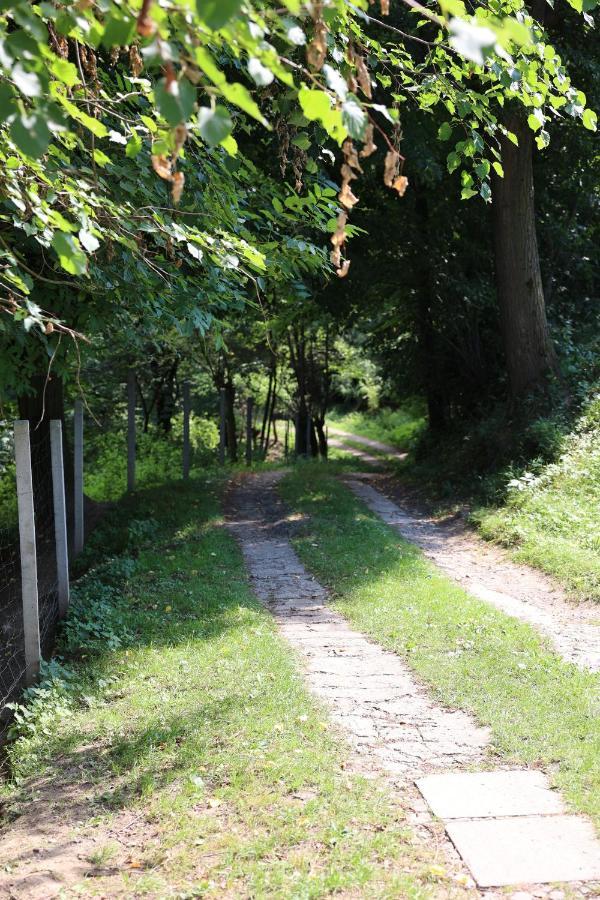 Agroturystyka U Babci Czchow Exterior foto