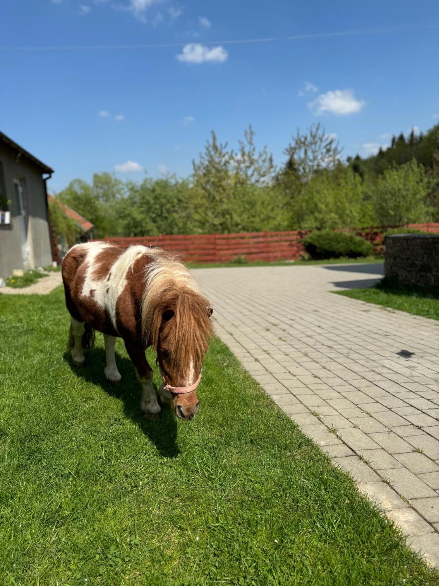 Agroturystyka U Babci Czchow Exterior foto